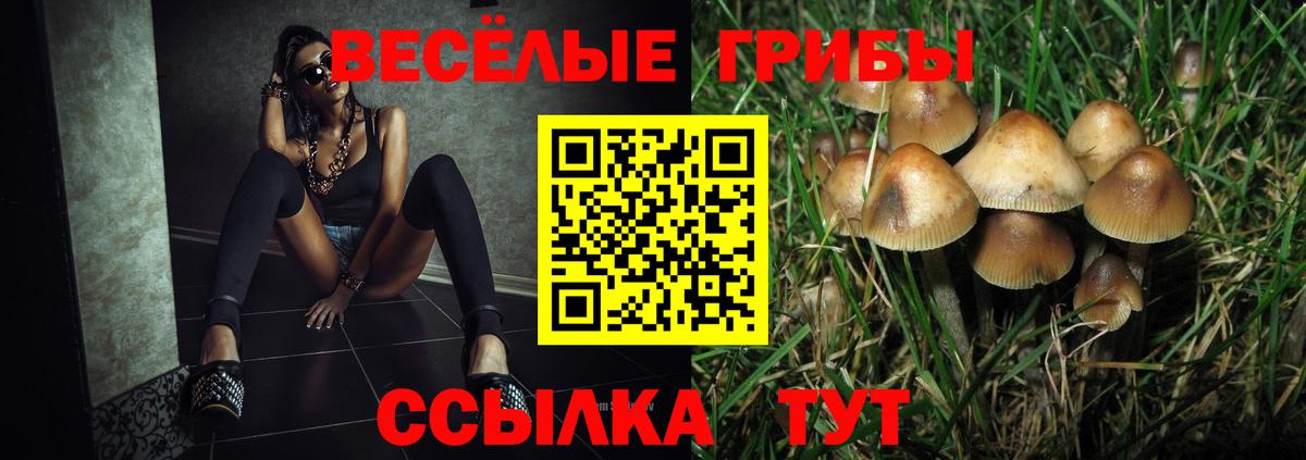 Псилоцибиновые грибы мицелий Санкт-Петербург